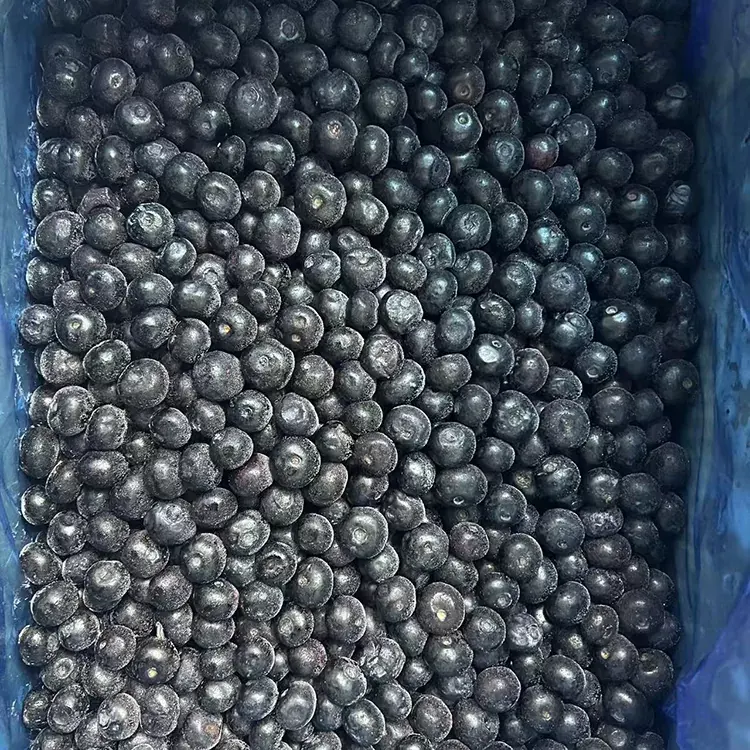 გაყინული Blueberry Premium IQF Blueberries