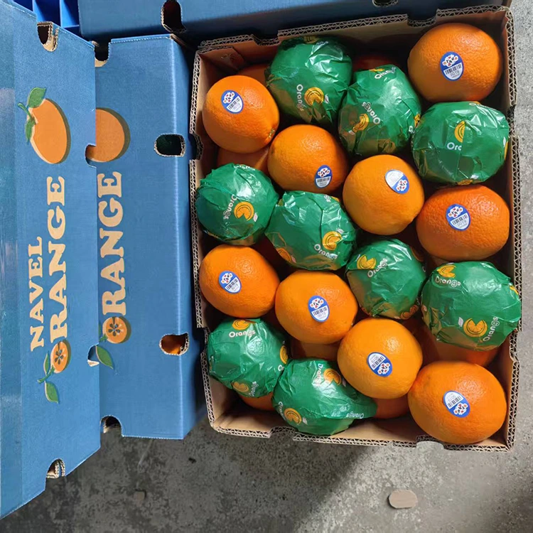 Premium Fresh Juicy Sweet Navel Oranges