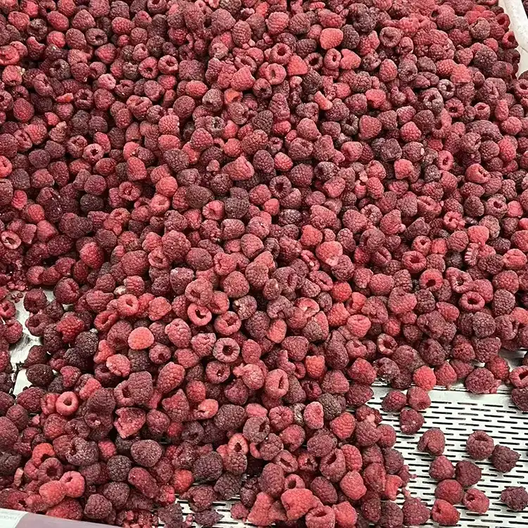 Premium IQF Whole Frozen Red Raspberry